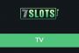 Pusulabet Bonus